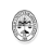 scba.org icon
