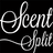 scentsplit.com icon