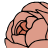 schaaffloral.com icon