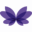 schildklier.nl icon