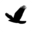schmidheiny.ch icon