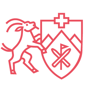 schneesportbivio.ch icon