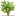 scholartext.com icon