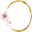 schoss-raum.de icon