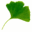 scienceandartofherbalism.com icon