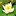 scienceofidentityfoundation.org icon
