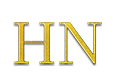 sclvyin.com icon
