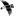 screamingeagle.com icon