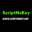 scriptnokey.com icon