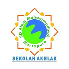 sdamuhmartapura.com icon