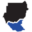 sdnrlf.com icon