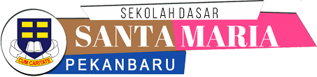 sdsantamaria.com icon