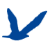 seaking.net icon
