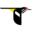 Domain Favicon