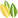 searchmypast.net icon