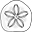 seashoredesign.com icon