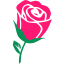 seasonedflirt.com icon