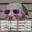 seattlevideomarketing.com icon