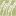 secondharvestfoodbank.org icon