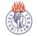 securityteam.com icon