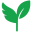 SeedAngels logo