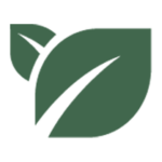 seedbed.com logo