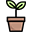 seedscanabisworld.xyz icon