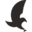 seehawkdesign.com icon