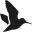 seeland.com icon