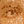seetheholyland.net icon