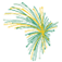 segalfamilyfoundation.org icon