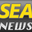 seguridadenamerica.com.mx icon