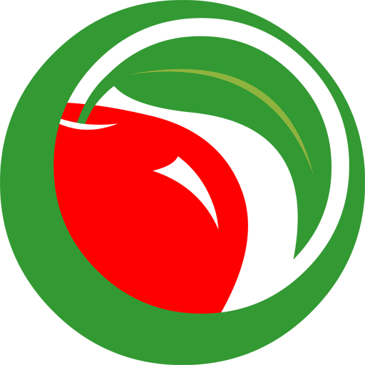 seis.org icon