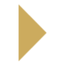 selectedbrands.com icon