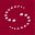 selectron.com icon