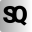 selfquestion.pt icon