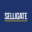 selligate.com icon