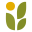 semcia.com icon