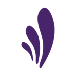 seniorservicesofamerica.com icon