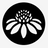 senitaathletics.com icon