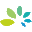 sensology.com icon