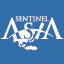 sentinel-asia.org icon