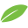 seonity.com icon