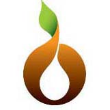 sepocye.com icon