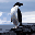 servermobile.net icon