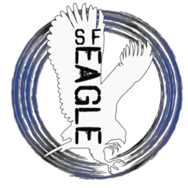 sf-eagle.com icon