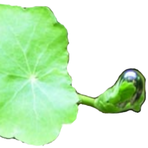 sfbaaps.org icon