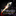 sffaudio.com icon
