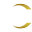 sgcplay.com icon