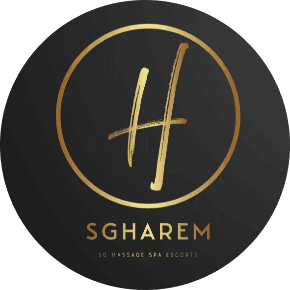 sgharem13.net icon